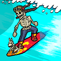 Surf trips