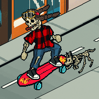 Skate sessions